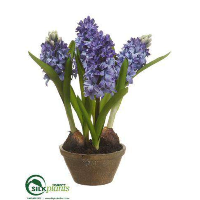 Hyacinth – Blue – Pack of 4