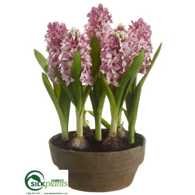 Hyacinth – Lavender – Pack of 2