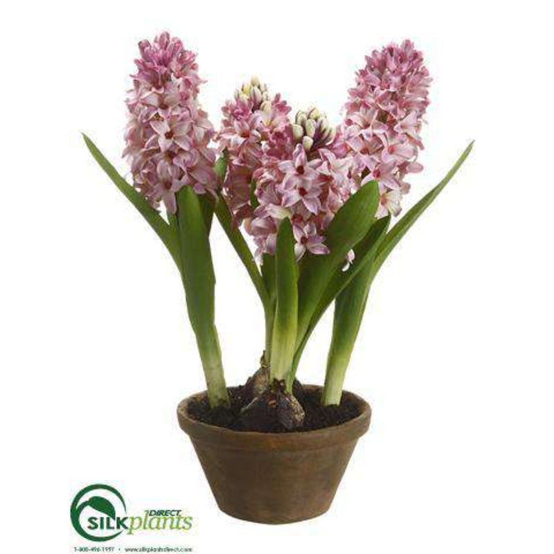Hyacinth – Lavender – Pack of 4