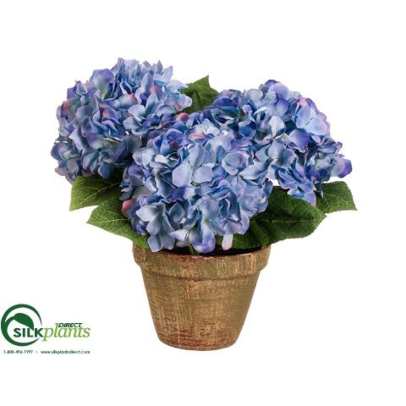 Hydrangea – Blue – Pack of 4