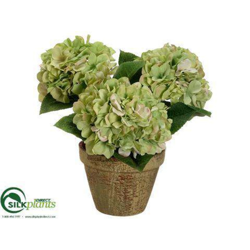 Hydrangea – Green – Pack of 4