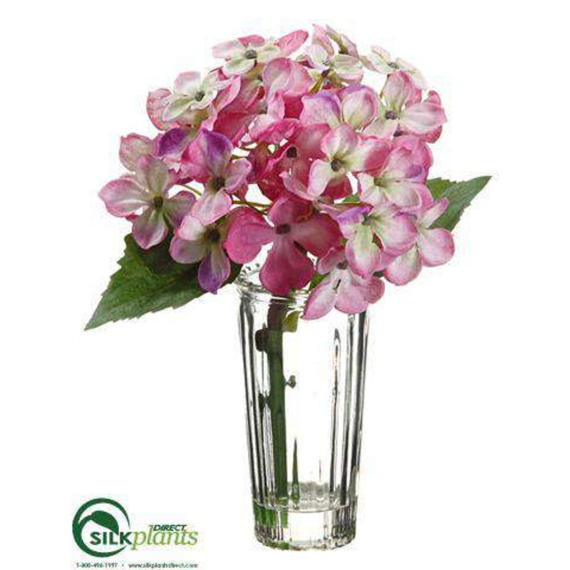 Hydrangea – Lilac – Pack of 12