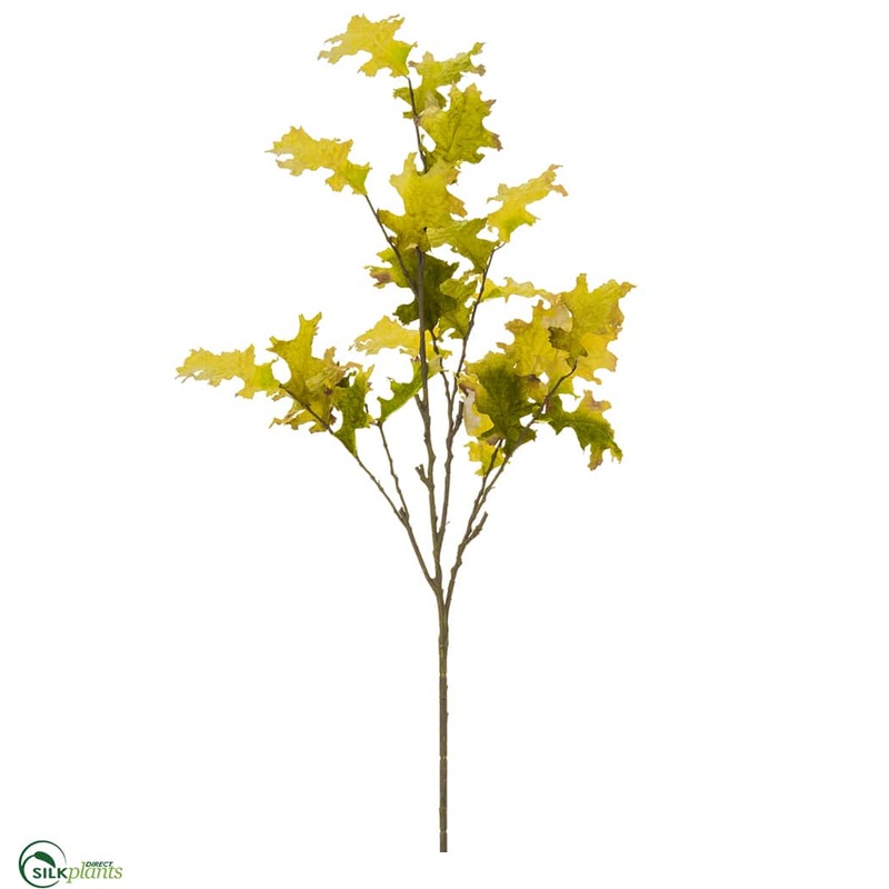 Oak Leaf Spray – Green Yellow – Pack of 8