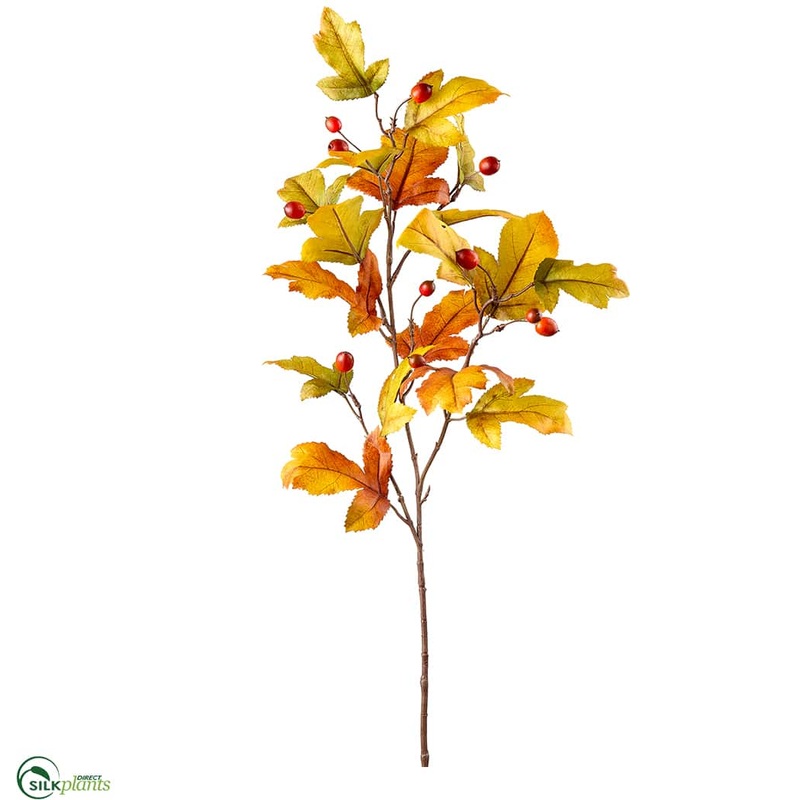 Oak Leaf Spray With Pod – Yellow Green – Pack of 12