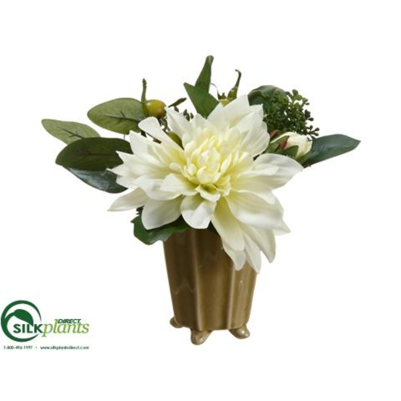 Dahlia, Sedum – White – Pack of 6