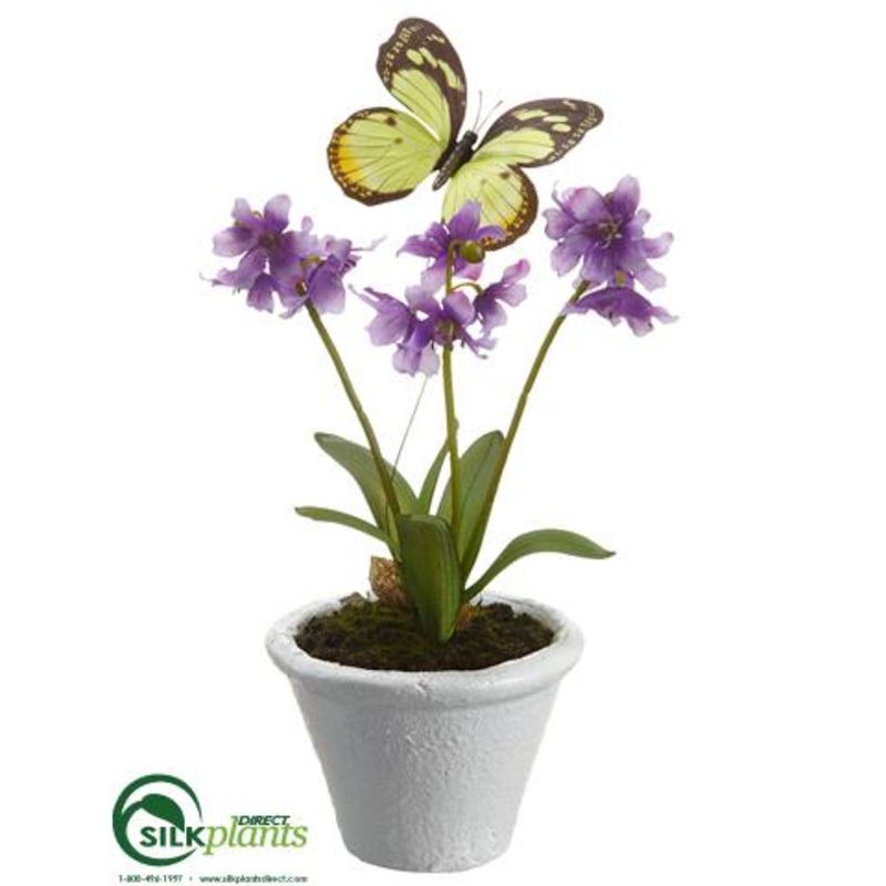 Dancing Primrose – Lavender – Pack of 6