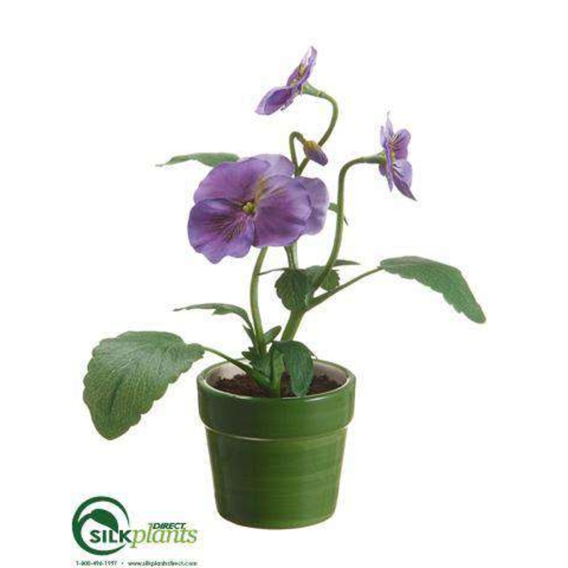 Pansy – Purple Lavender – Pack of 12
