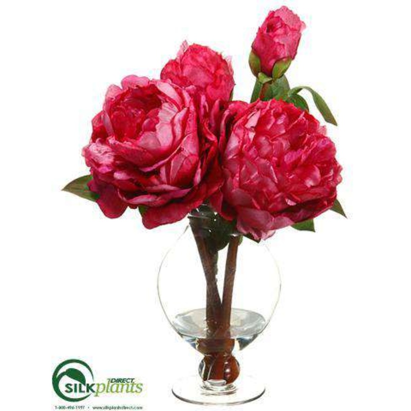Peony – Beauty – Pack of 4