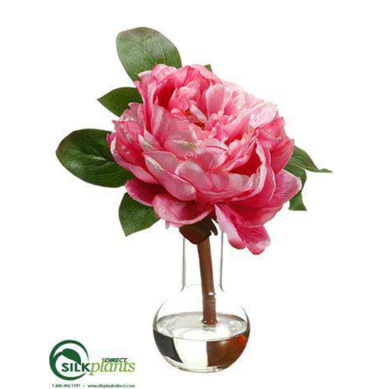 Peony – Fuchsia Pink – Pack of 4