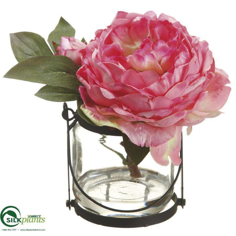 Peony – Pink – Pack of 1
