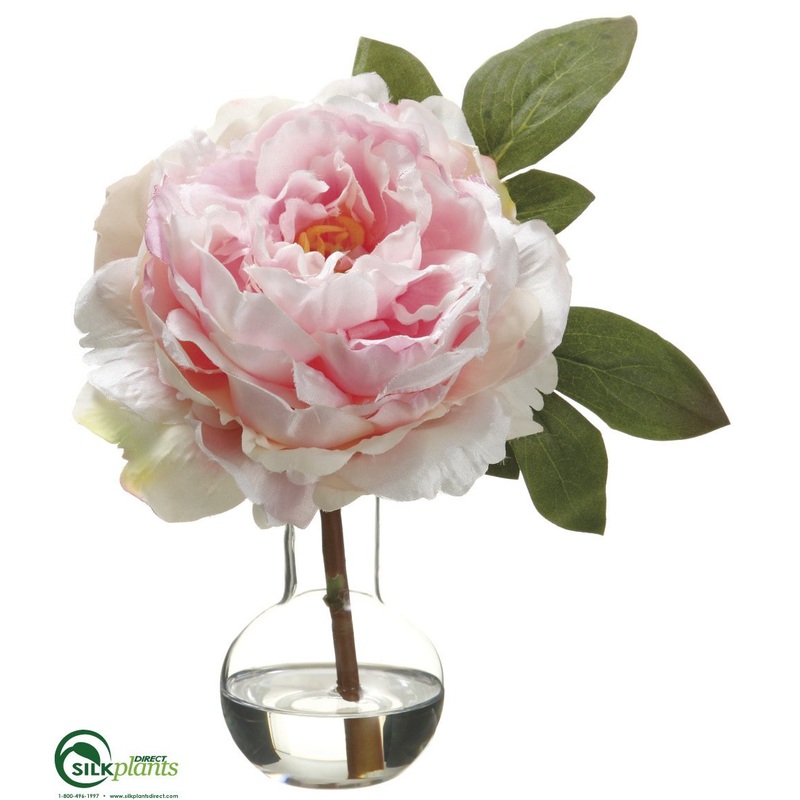 Peony – Pink – Pack of 4