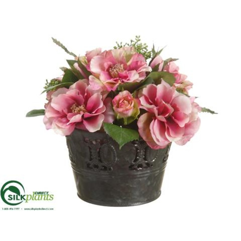 Rose, Sedum – Orchid Green – Pack of 4