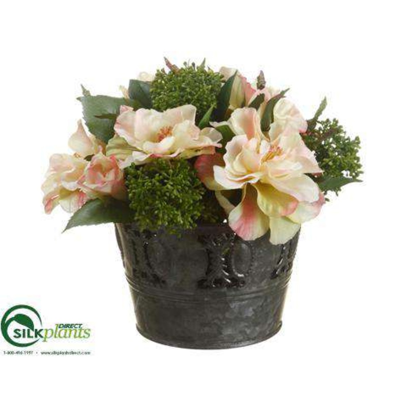 Rose, Sedum – Peach Green – Pack of 4