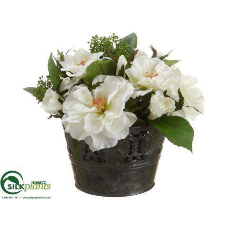 Rose, Sedum – White Green – Pack of 4