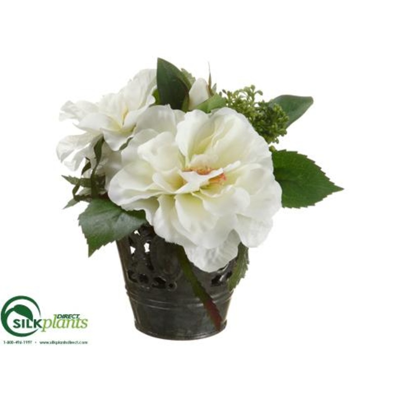 Rose, Sedum – White Green – Pack of 6