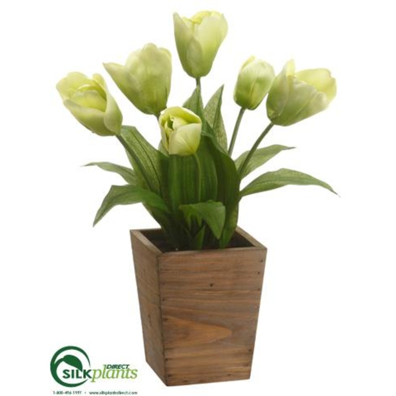 Tulip – Green – Pack of 4