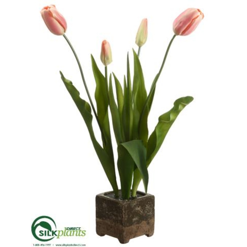 Tulip – Pink Green – Pack of 2
