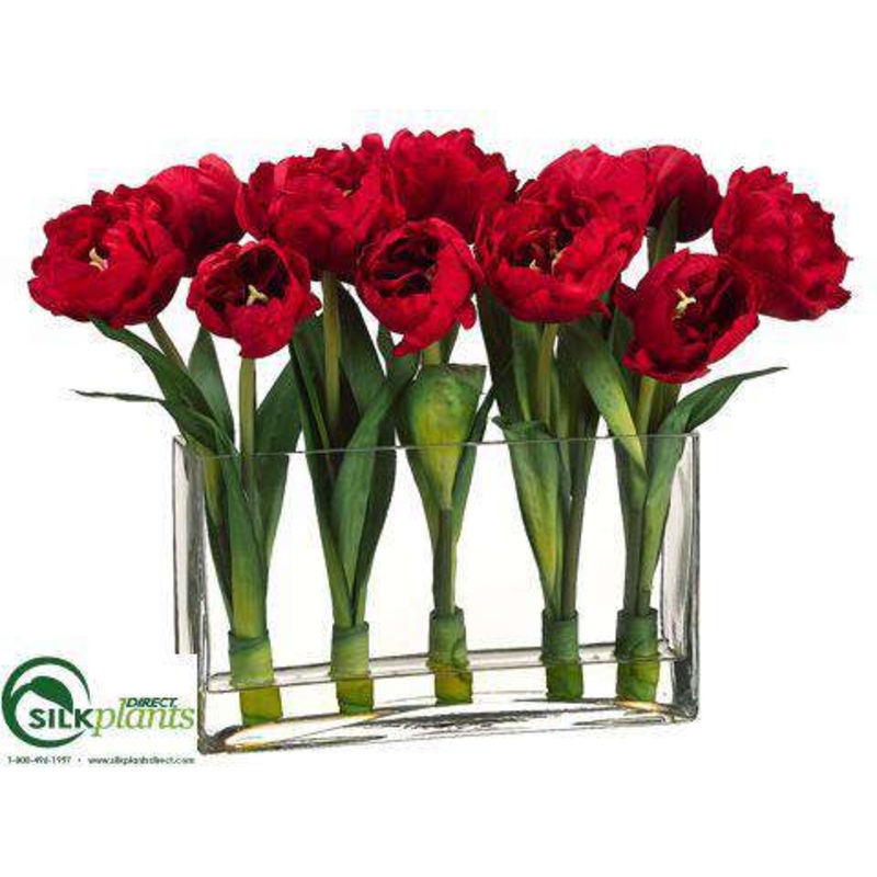 Tulip – Red – Pack of 1