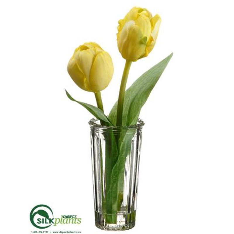 Tulip – Yellow – Pack of 12