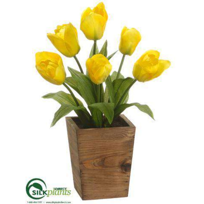 Tulip – Yellow – Pack of 4