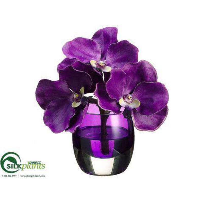 Vanda Orchid – Purple – Pack of 4