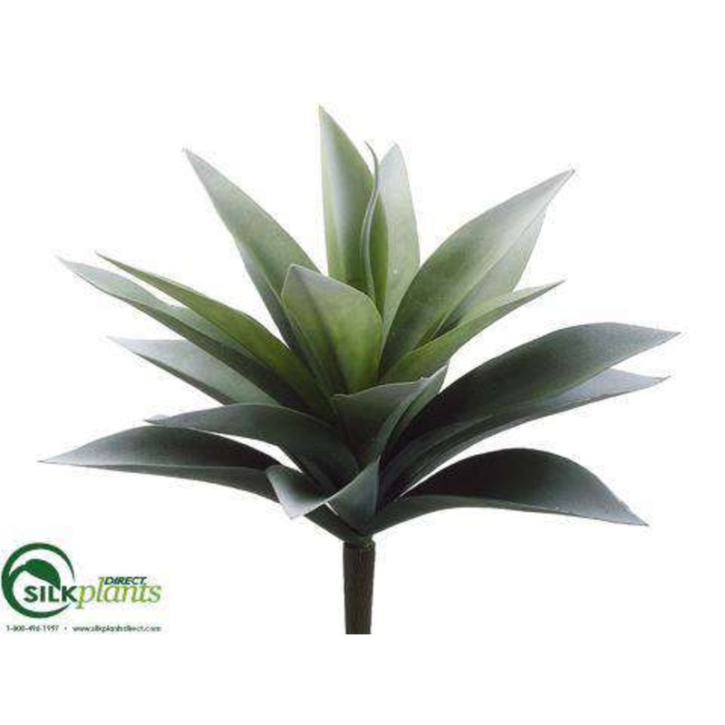 Agave Plant – Green Frosted – Pack of 24