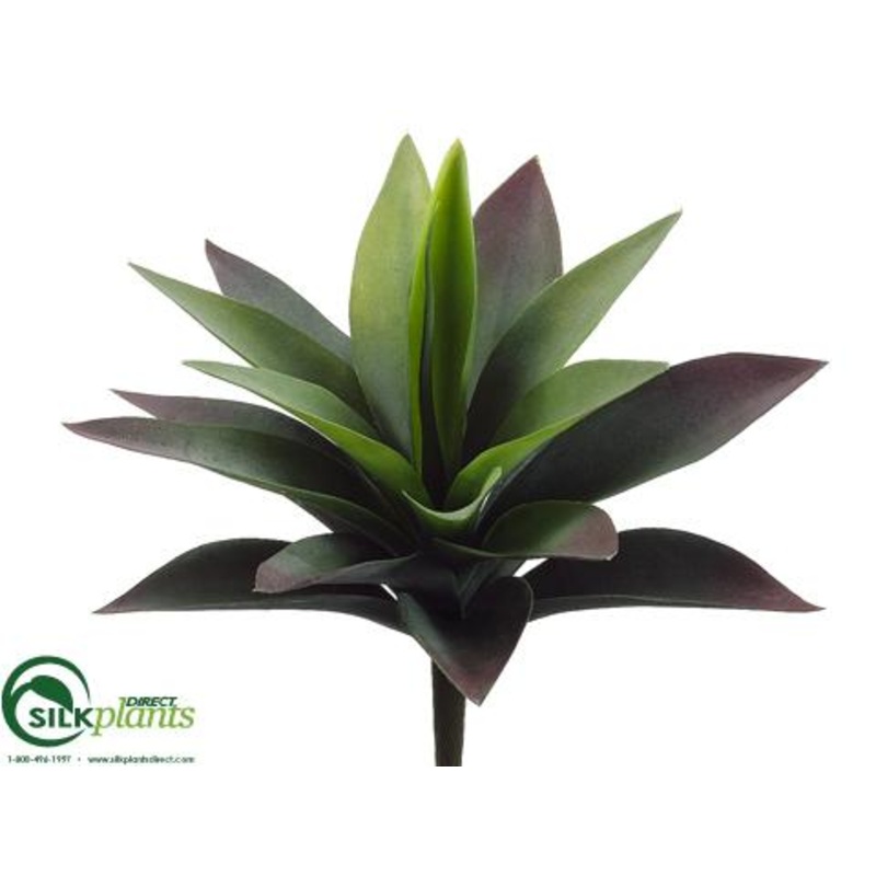Agave Plant – Green – Pack of 24