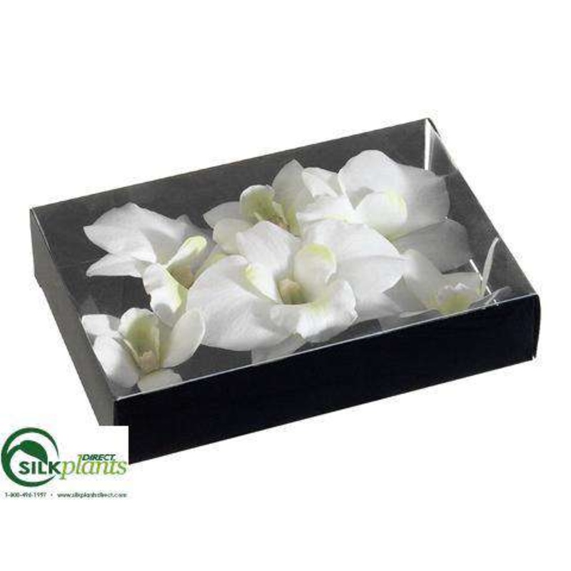 Floating Dendrobium Orchid Flower Head – Cream – Pack of 12