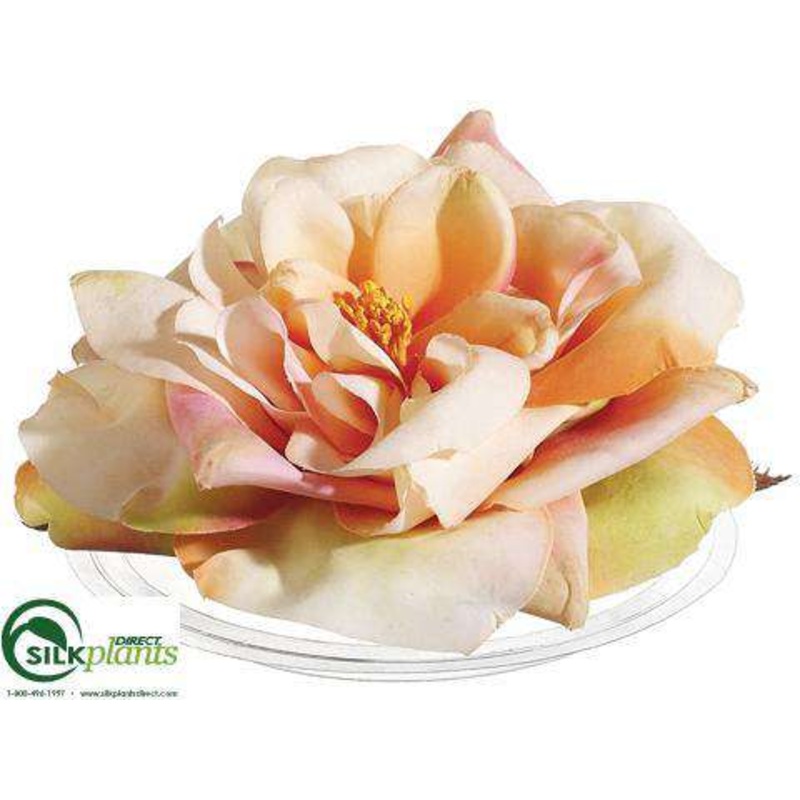 Floating Rose – Peach – Pack of 12