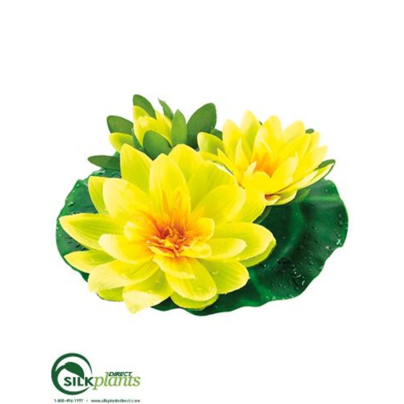 Floating Water Lily – Yellow – Pack of 6