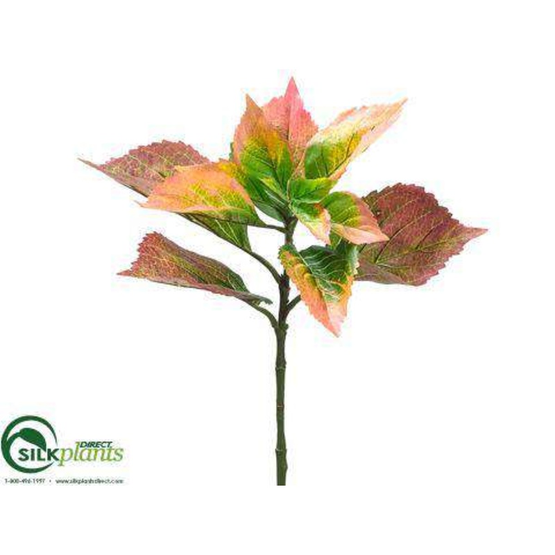 Hydrangea Leaf Spray – Green Salmon – Pack of 12