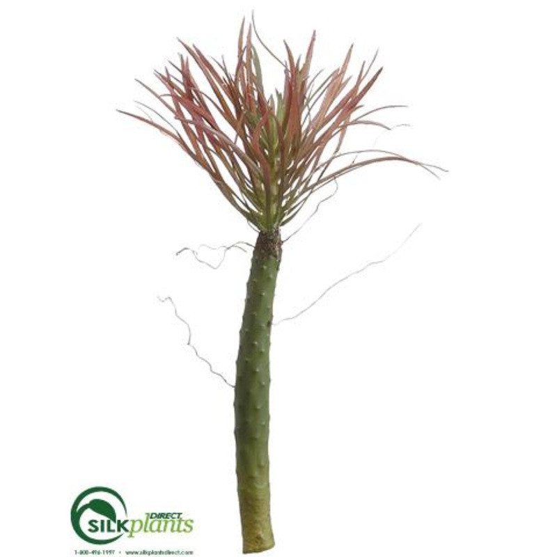 Palm Cactus – Green Mauve – Pack of 6