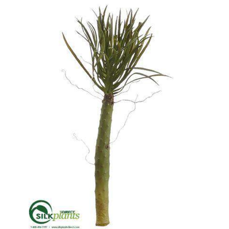 Palm Cactus – Green – Pack of 6