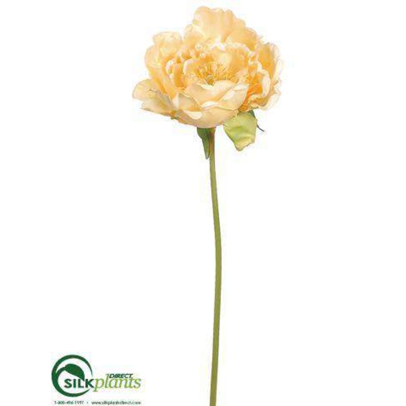 Peony Spray – Yellow Pearl – Pack of 12