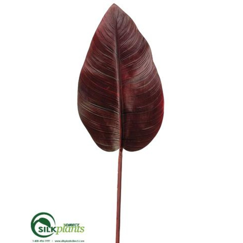 Spade Canna Leaf Spray – Burgundy Fuchsia – Pack of 12