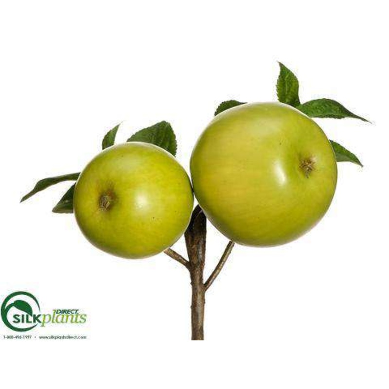 Apple Pick – Green – Pack of 12