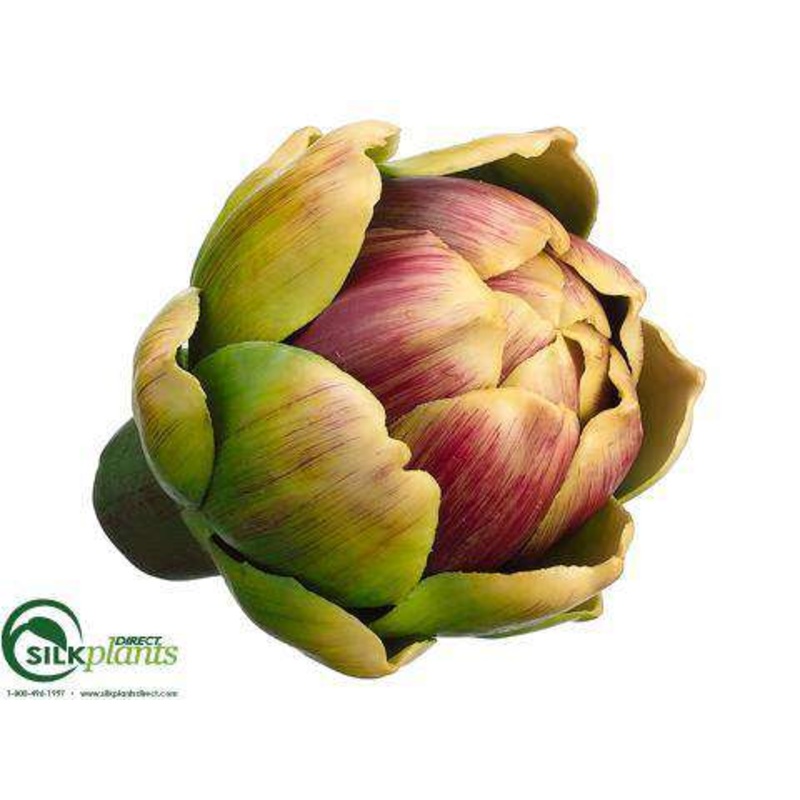 Artichoke – Green – Pack of 12