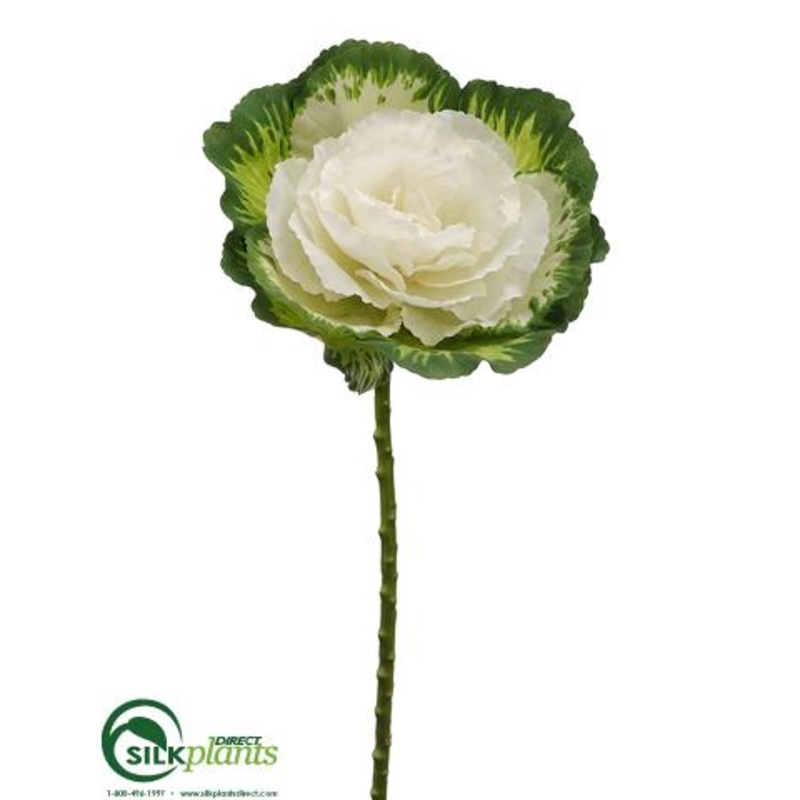 Cabbage Spray – Green White – Pack of 12