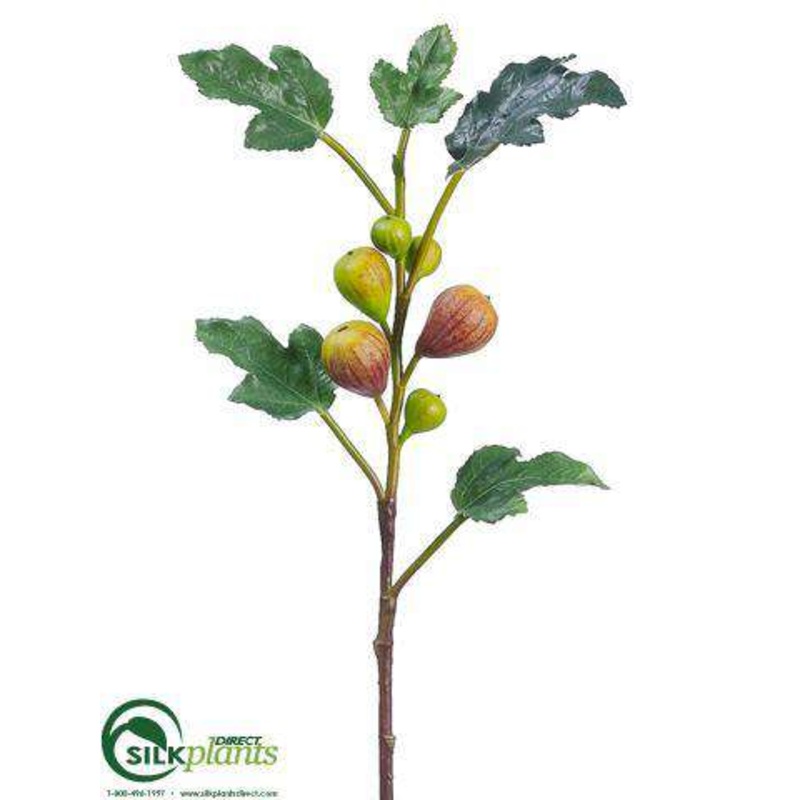 Fig Branch – Green Burgundy – Pack of 12