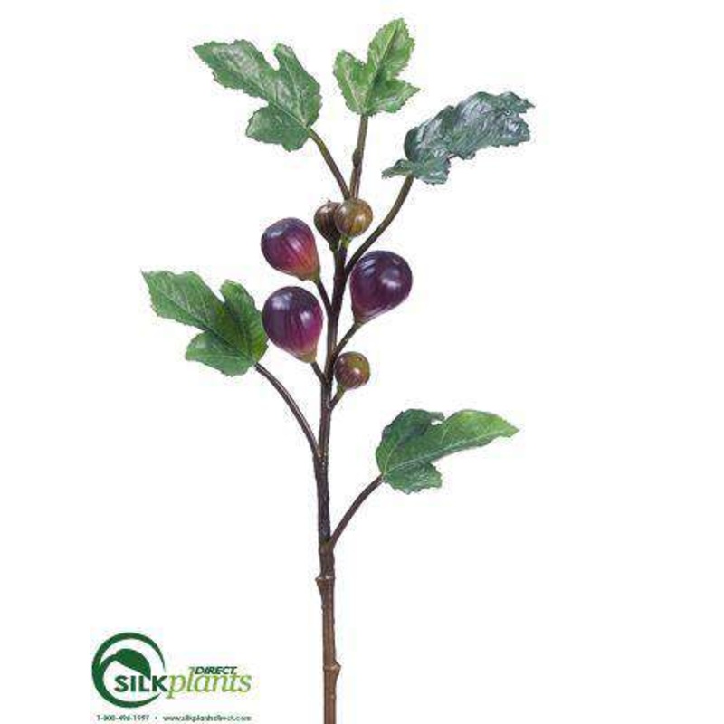 Fig Branch – Plum – Pack of 12