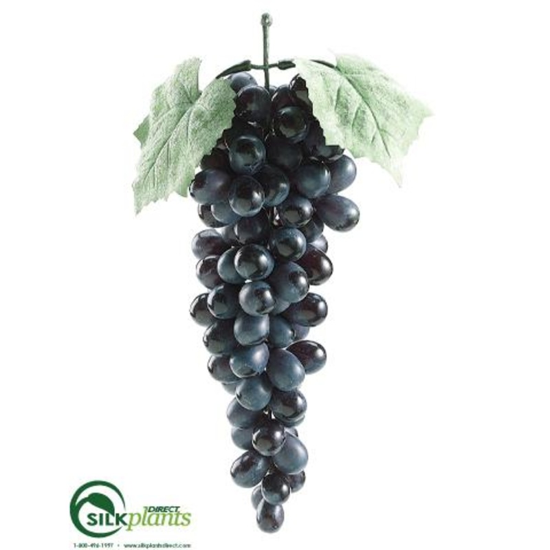 Lady Finger Grapes – Black – Pack of 12
