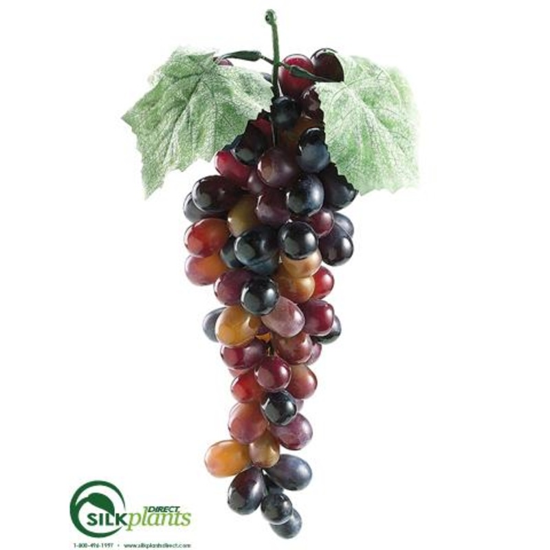 Lady Finger Grapes – Burgundy Two Tone – Pack of 12