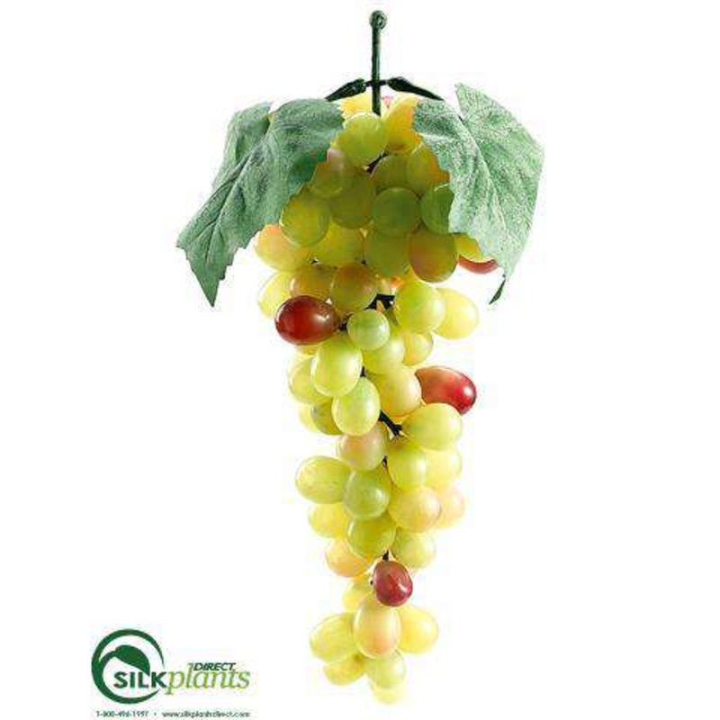 Lady Finger Grapes – Green Rose – Pack of 12