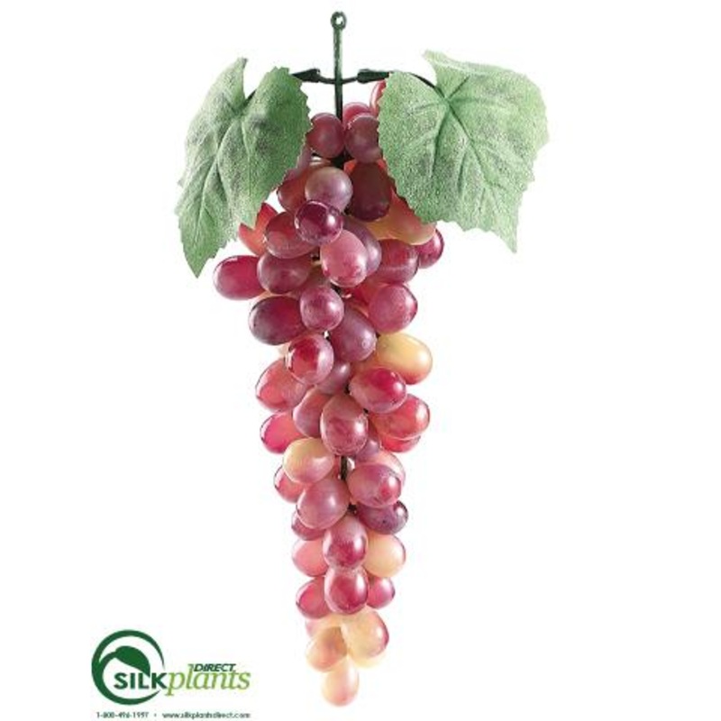 Lady Finger Grapes – Rose Green – Pack of 12
