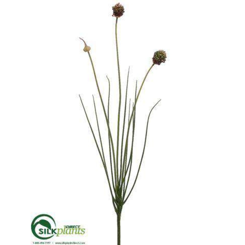 Onion Bloom Spray – Burgundy – Pack of 12