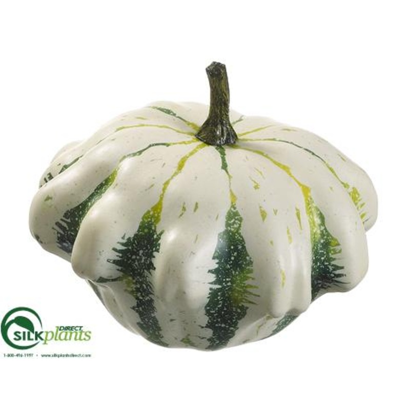 Star Squash – Cream Green – Pack of 12