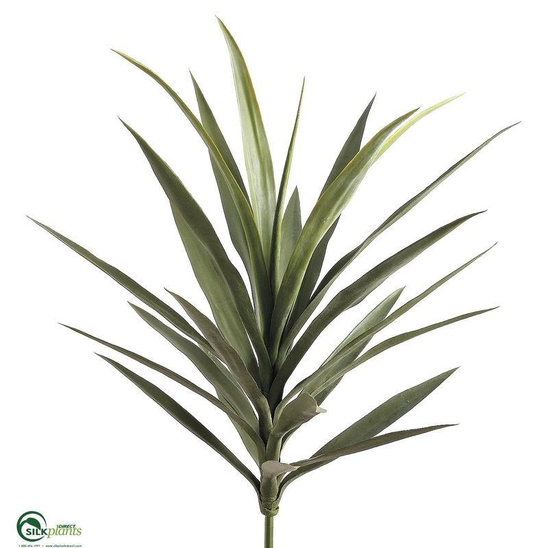 Yucca Plant – Green – Pack of 3