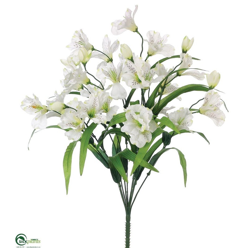 Alstroemeria Bush – Cream Green – Pack of 12