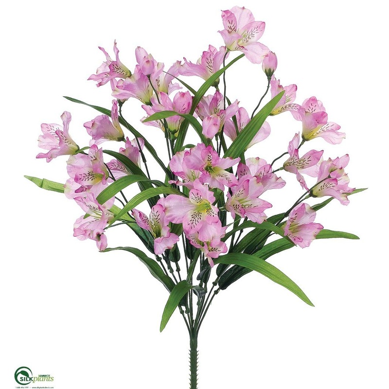 Alstroemeria Bush – Lavender – Pack of 12