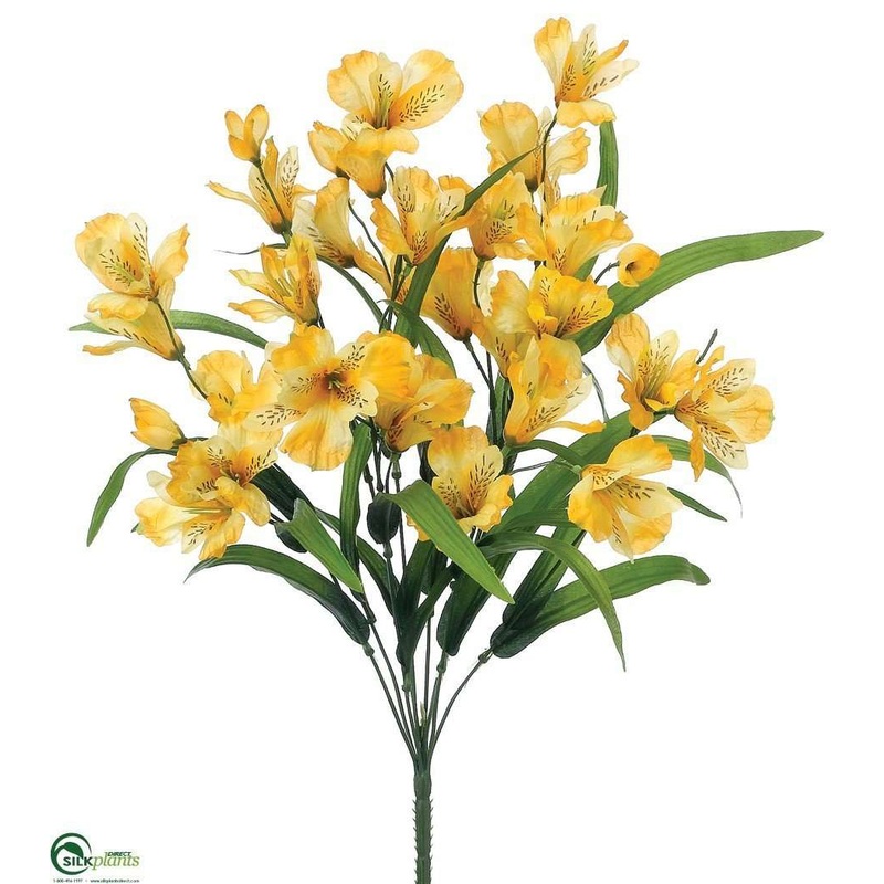 Alstroemeria Bush – Yellow – Pack of 12